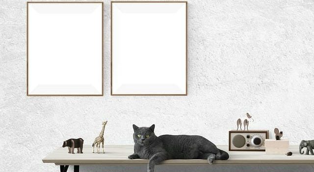 ギフトを贈って感謝の気持ちを伝えよう ギフトを贈って感謝の気持ちを伝えよう